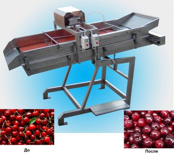 Машина для удаления косточек из фруктов DYA-500